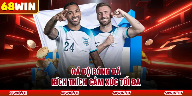 Cá độ bóng đá kích thích cảm xúc tối đa